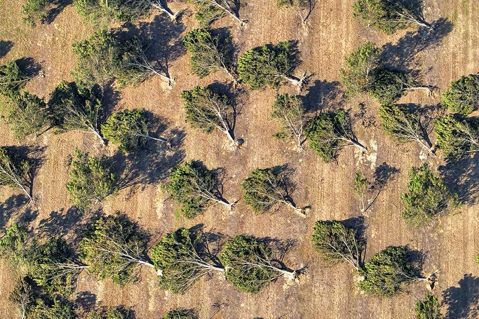 Extreme Weather in 2024 Cost Farmers More Than $20 Billion