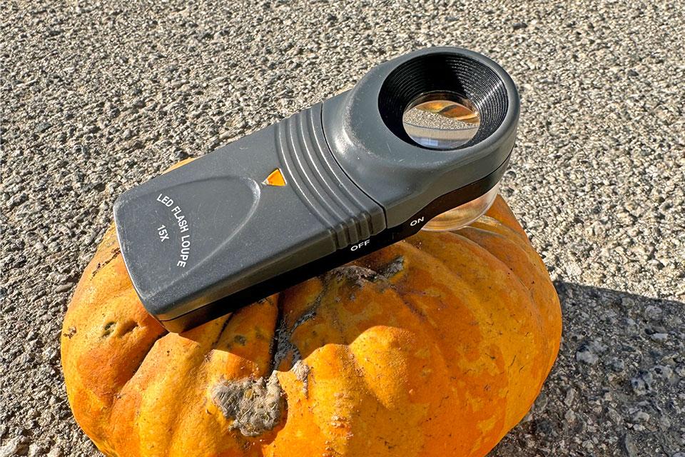 Lee Valley Power Lighted Loupe tool used by Taylor Farms