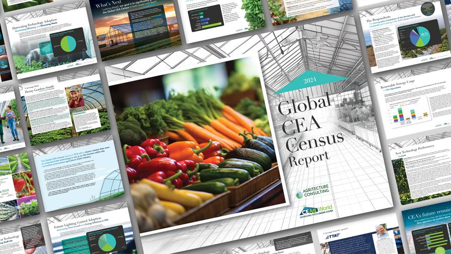 2024 Global CEA Census Report cover