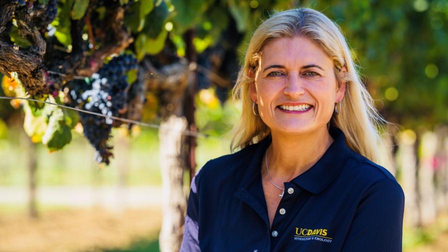 Top Wine Grape Scientist Passes Away