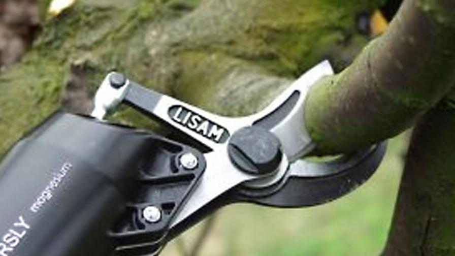 Lisam Sly pruner