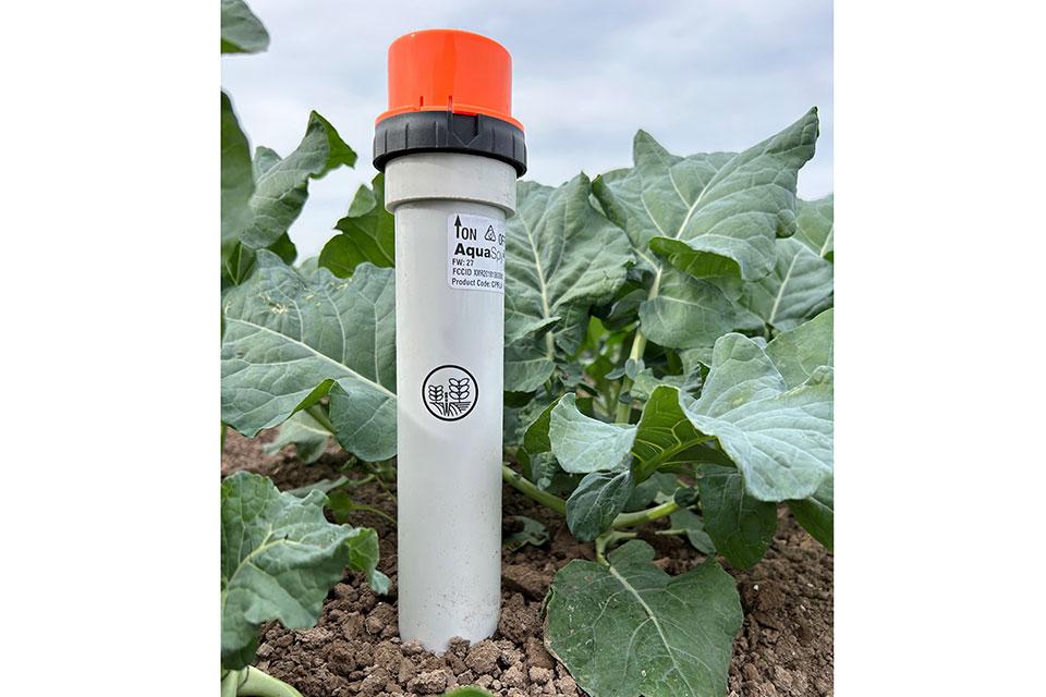 AquaSpy moisture probe