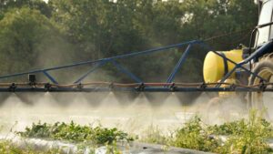 Emerging Crop Protection Intel From California Keys in on Top Fungicides