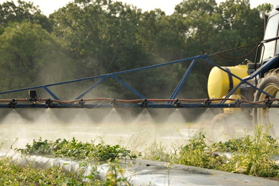 Tractor with spray boom in vegetable planting