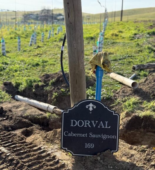 Stop #3 Dorval Vineyards and Winery