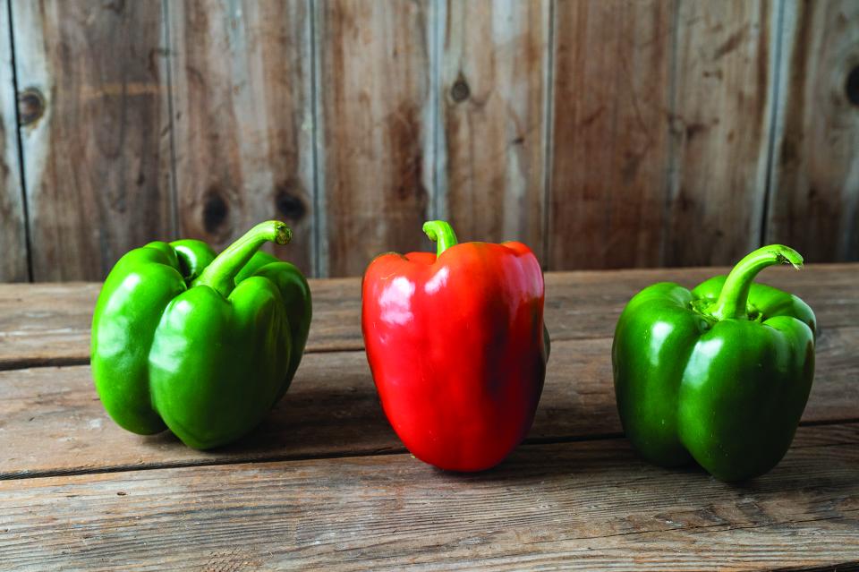 Sweet Pepper Varieties To Know and Grow