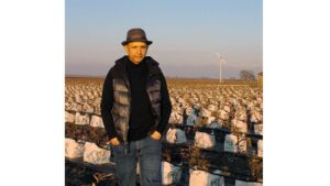 A Biological Approach To Grow Great Blueberries