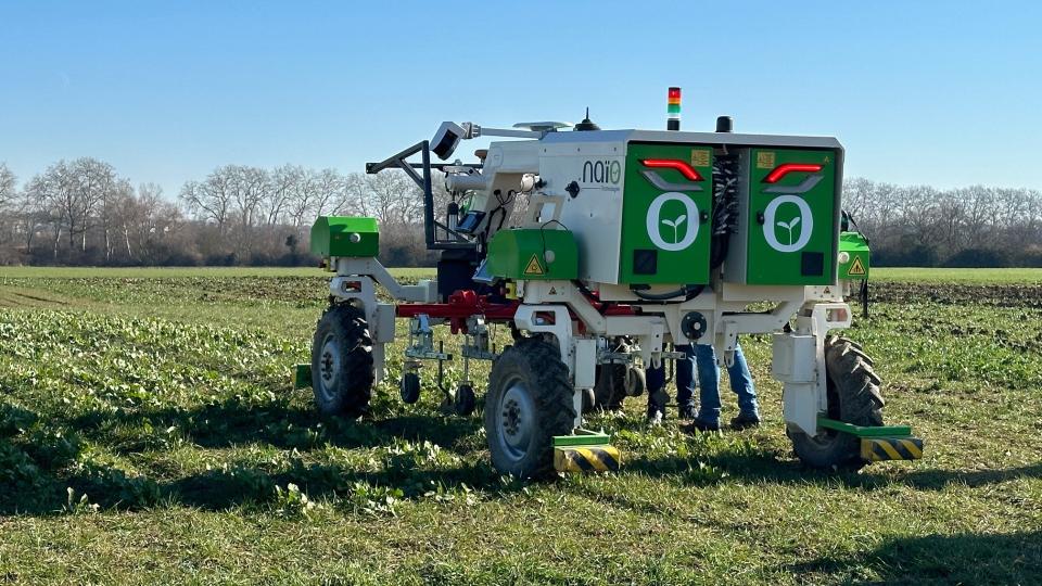 Scene and Heard in 2025: World FIRA and Fruit Logistica