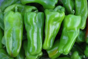 Exuma (Seminis Vegetable Seeds)