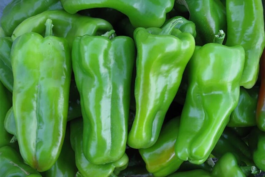 Exuma (Seminis Vegetable Seeds)