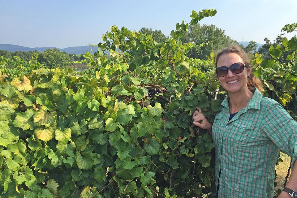 Margaret Worthington with muscadine grapes