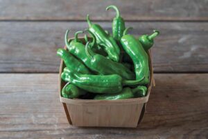 Paisan (Johnny's Selected Seeds)