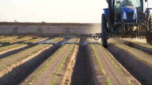 Mind Resistance Management for Better Insecticide Performance in Vegetable Crops
