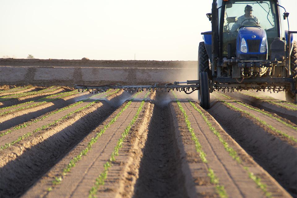 pesticide spray application on vegetable field