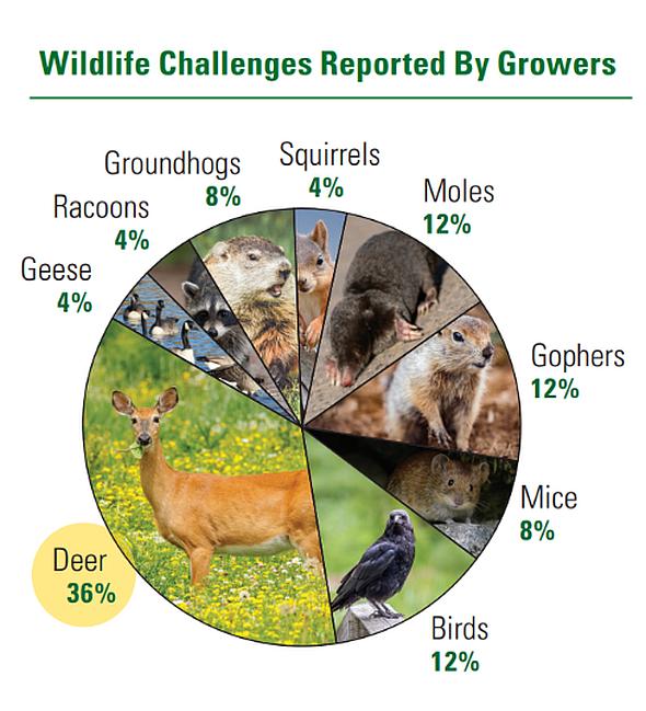 American Vegetable Grower State of the Industry wildlife challenges graphic