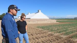 What Fagerberg Produce Is Doing To Keep Its Onions Weed Free