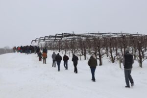 Stop 3: Newroyal Orchards