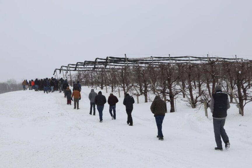 Stop 3: Newroyal Orchards