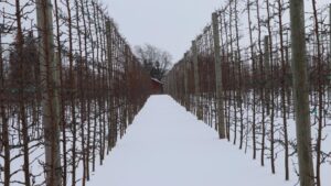 Pre-Winter Weather Signals Farmers Should Know Now