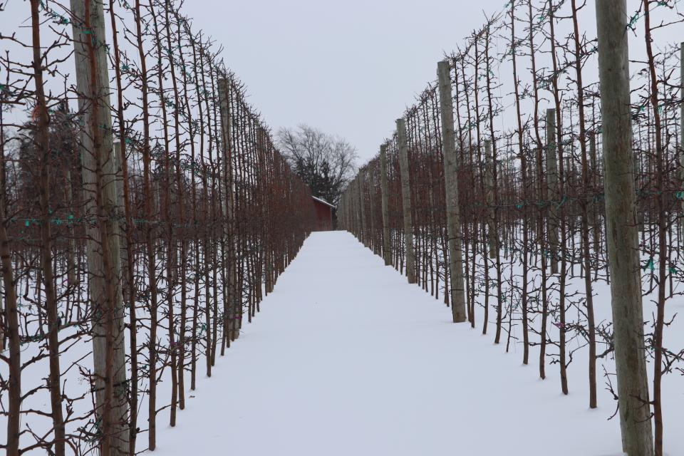 Pre-Winter Weather Signals Farmers Should Know Now