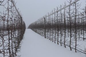 Stop 1: Orchard Dale Fruit Farm