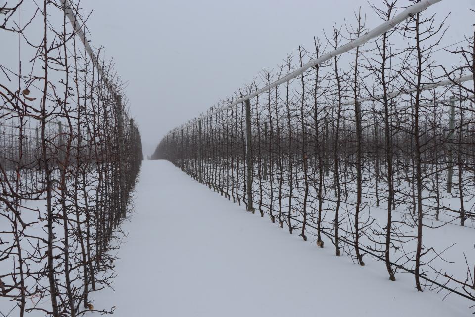 The ‘Surprising’ Winter 2026-2027 Outlook from Farmers’ Almanac