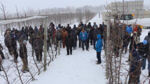 Your Virtual Pass To the IFTA 2025 Winter Orchard Tour