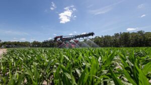 New App Taps Into Irrigation Needs for Sweet Corn