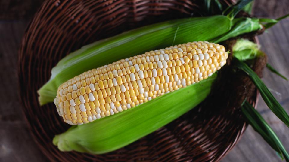 Natural Sweet (Illinois Foundation Seeds Inc. (IFSI), Johnny’s Selected Seeds, Osborne Quality Seeds)
