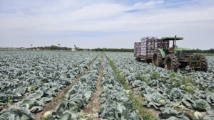 2026 State of the Vegetable Industry Survey Is Closing!