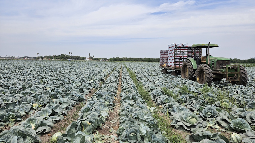 2026 State of the Vegetable Industry Survey Is Closing!