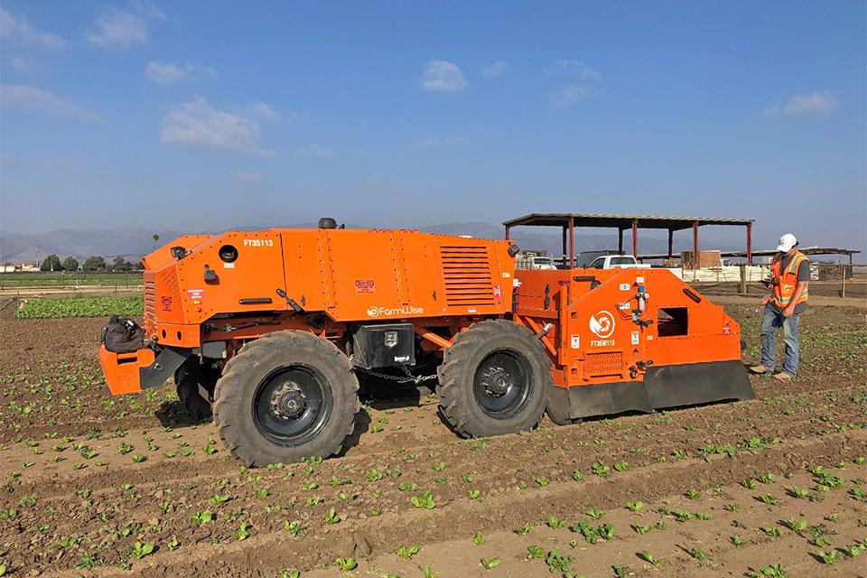 Auto Weeders Becoming Potent New Tools in Vegetable Fields