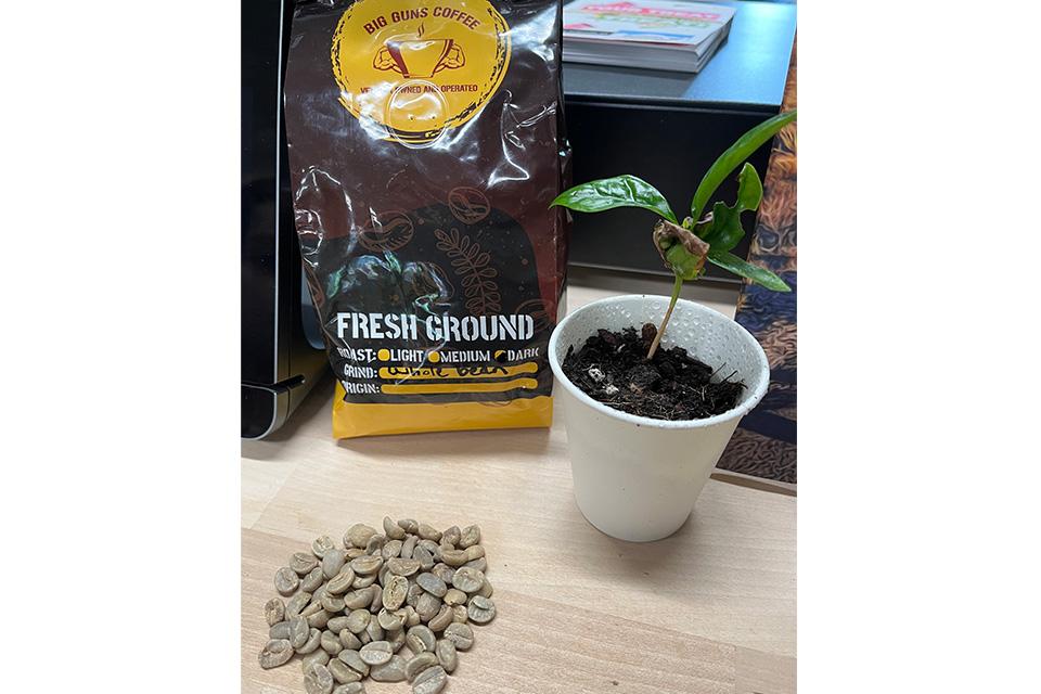 desktop coffee grounds from Big Guns Coffee
