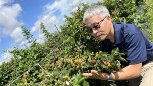 Thornless, Disease-Resistant, Tastier Blackberries on the Way