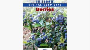 Digital Deep Dive: Your Guide To Grow Better Berries