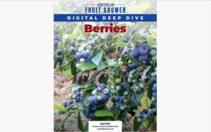 April 2025 Digital Deep Dive on Berries special report cover