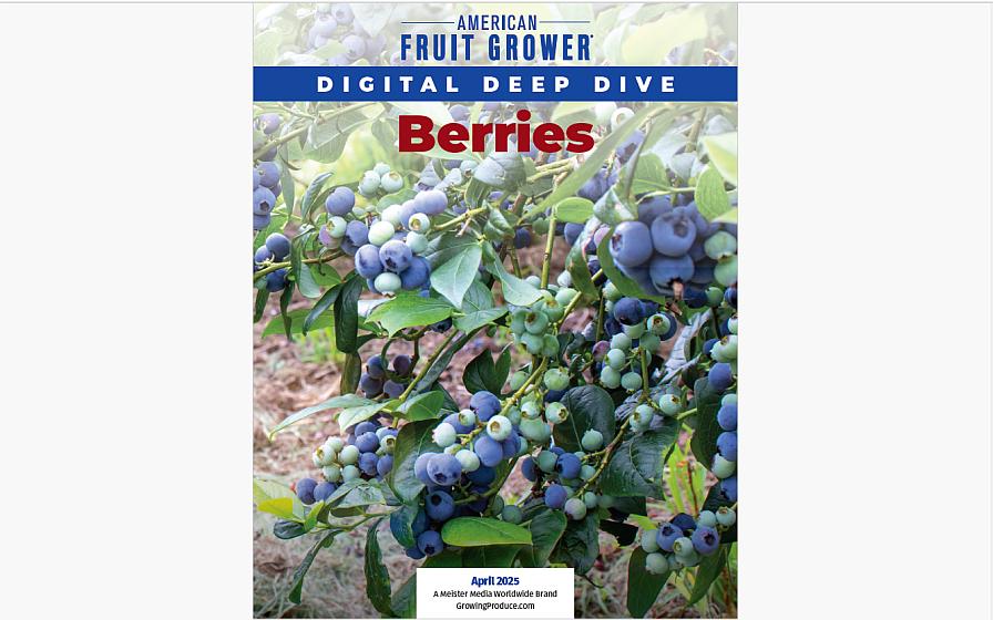 Digital Deep Dive: Your Guide To Grow Better Berries