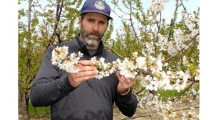 Quality Commitment Keeps Chinchiolo Farming Co. Growing in New Directions