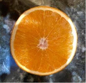 OLL-DC-3-36 sweet orange in detail