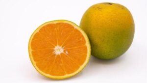6 New Citrus Varieties To Keep Your Eye On