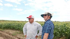 Deep-Rooted Petrocco Farms Looking Ahead to Its Next 100 Years