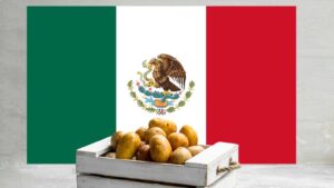 U.S. Potatoes in Mexico: Breaking Barriers and Growing Opportunities