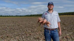 Sweet Potato Grows Into the Official Vegetable of Mississippi