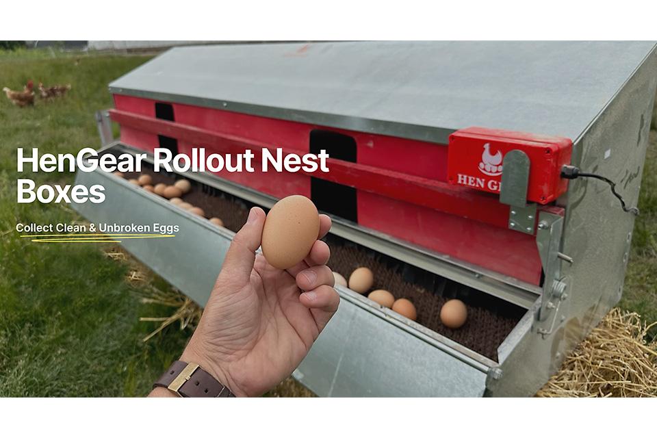 HenGear rollout nest product image