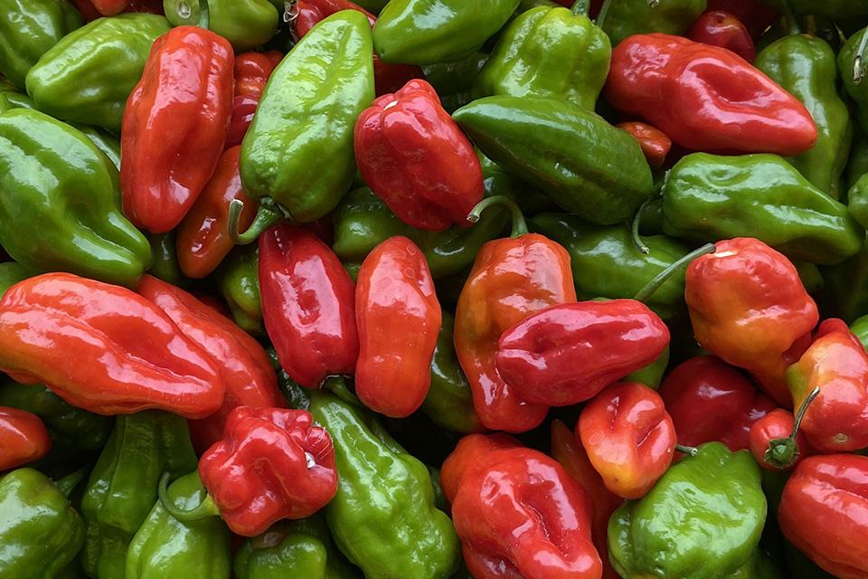 Roulette peppers