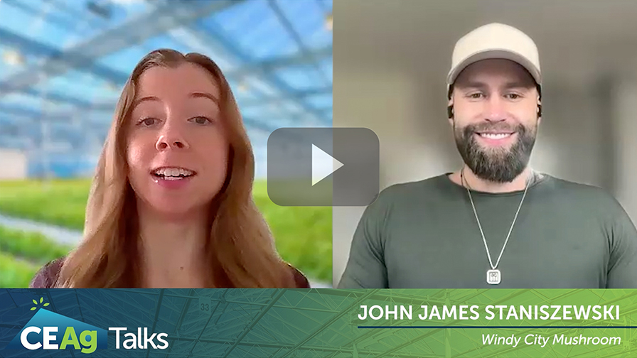Why Growing Mushrooms Under Cover Should Get More Attention [Video]