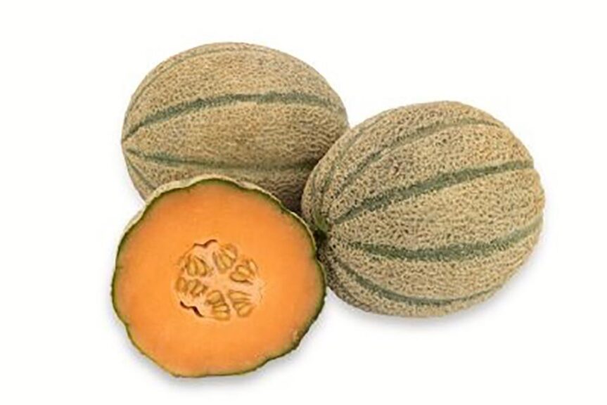 Arangina (Seminis Vegetable Seeds)