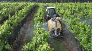 Challenges and Solutions for Efficient Vineyard Canopy Management