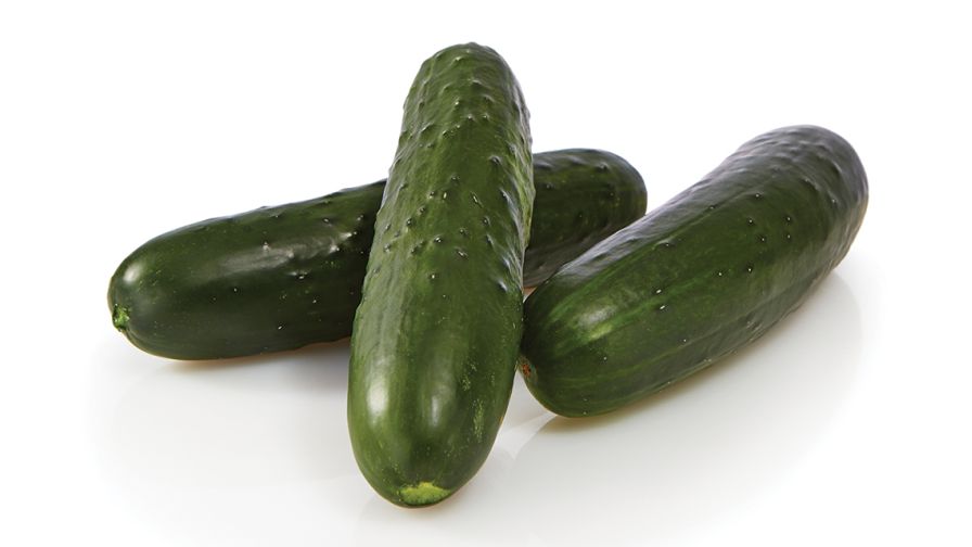 Bristol (Seminis Vegetable Seeds)