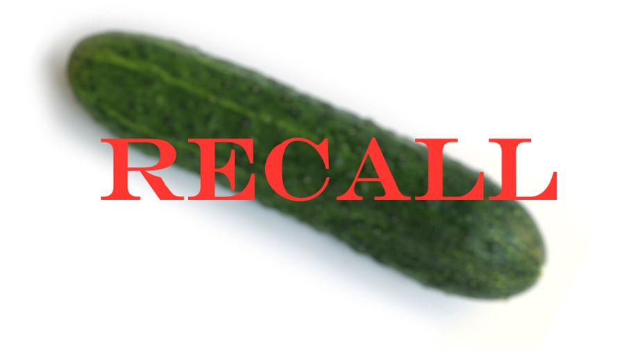 Salmonella-Linked Cucumbers Traced to South Florida Grower